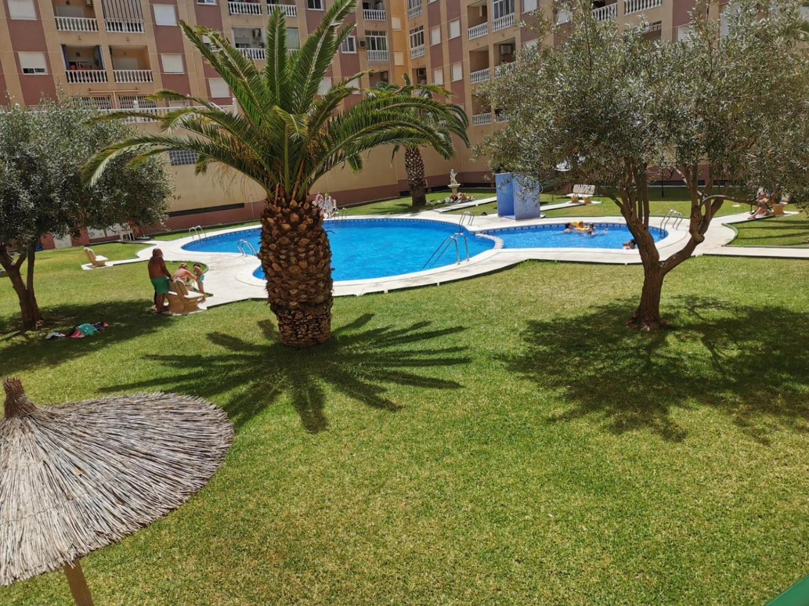 Charming Apartment Torrevieja Dış mekan fotoğraf